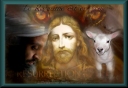 image diaporamas