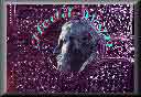 image diaporamas