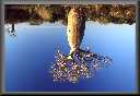 image diaporamas