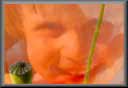 image diaporamas